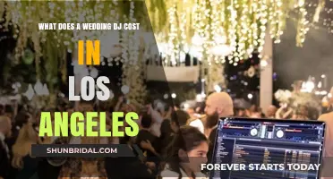 Los Angeles Wedding DJ Costs: What to Expect and Budget For