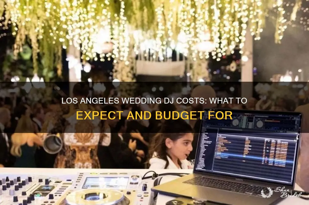what does a wedding dj cost in los angeles
