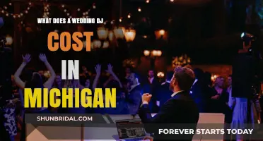 Michigan Wedding DJ Costs: What to Expect for Your Big Day