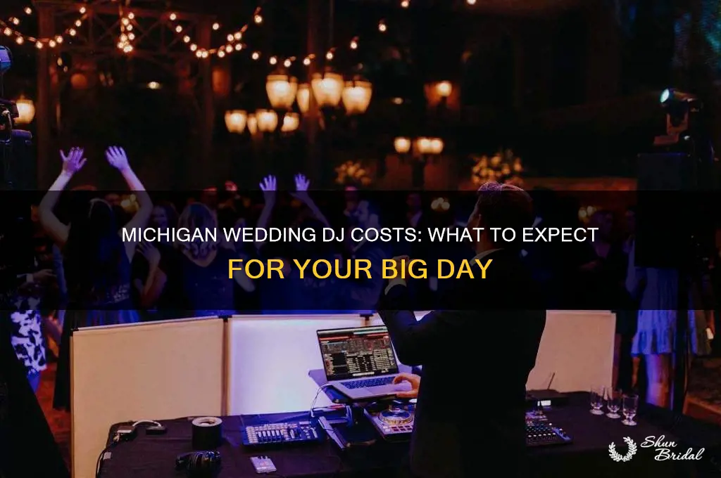 what does a wedding dj cost in Michigan