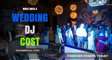 How Much Does a Wedding DJ Cost? A Complete Pricing Guide