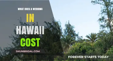 Hawaii Wedding Costs: Budgeting for Your Tropical Dream Celebration