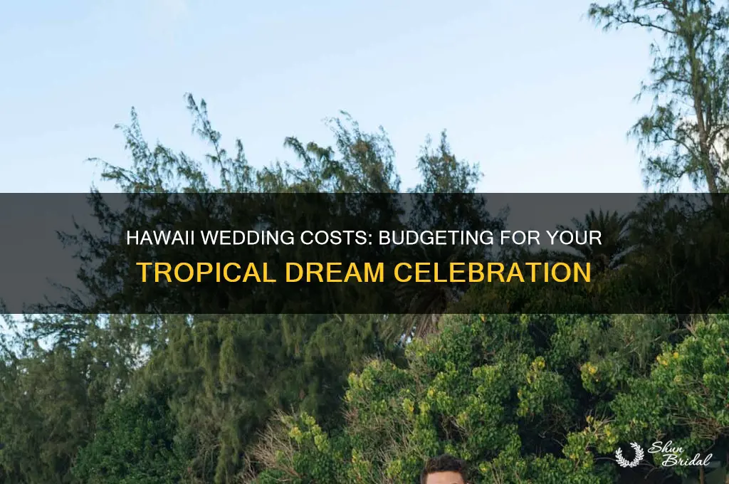 what does a wedding in hawaii cost