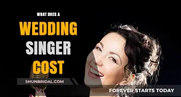 How Much Does Hiring a Wedding Singer Cost?
