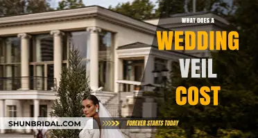 Understanding Wedding Veil Costs: A Comprehensive Guide for Brides-to-Be