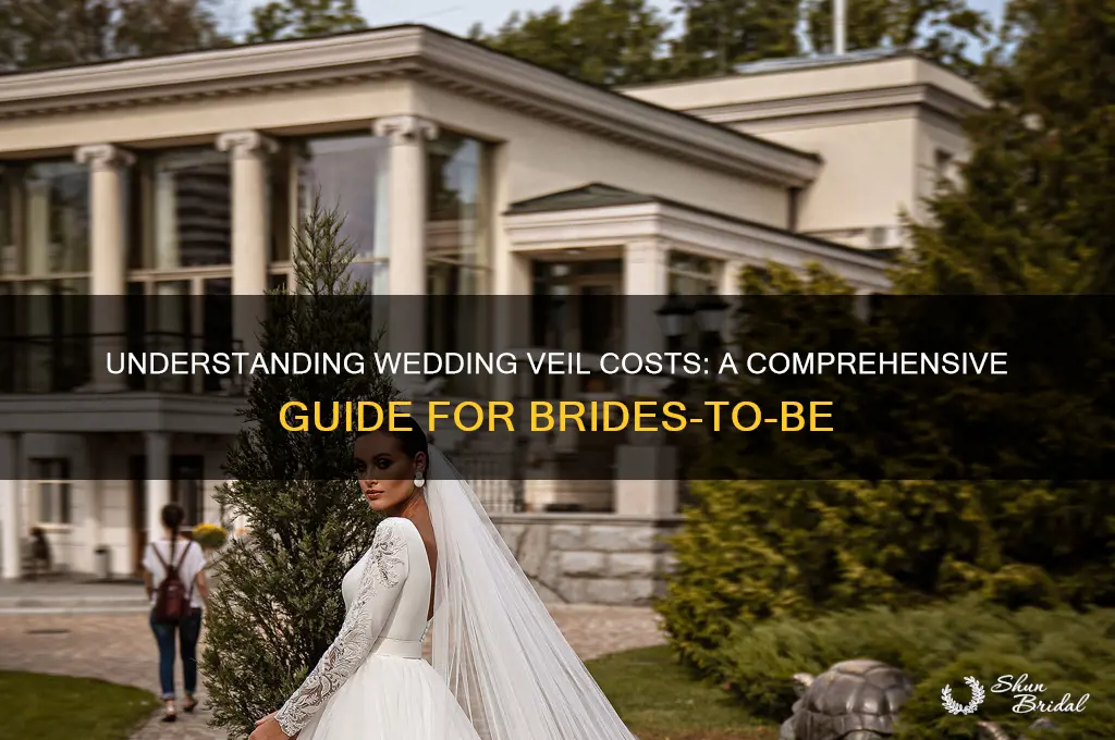 what does a wedding veil cost
