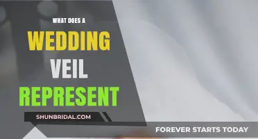 Veils: A Symbol of Purity and Modesty