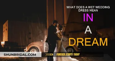 Dreaming of a Wet Wedding Dress: What It Means
