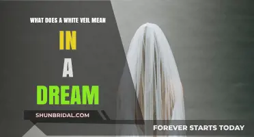 Decoding Dreams: The Symbolic Meaning of a White Veil