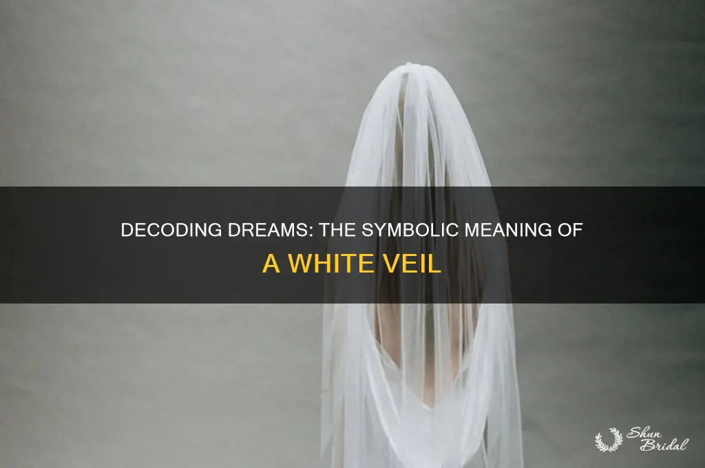 what does a white veil mean in a dream