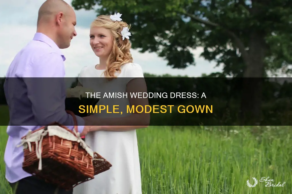 what does an amish wedding dress look like
