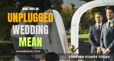 Unveiling the Unplugged Wedding: A Guide to Unplugging Your Big Day