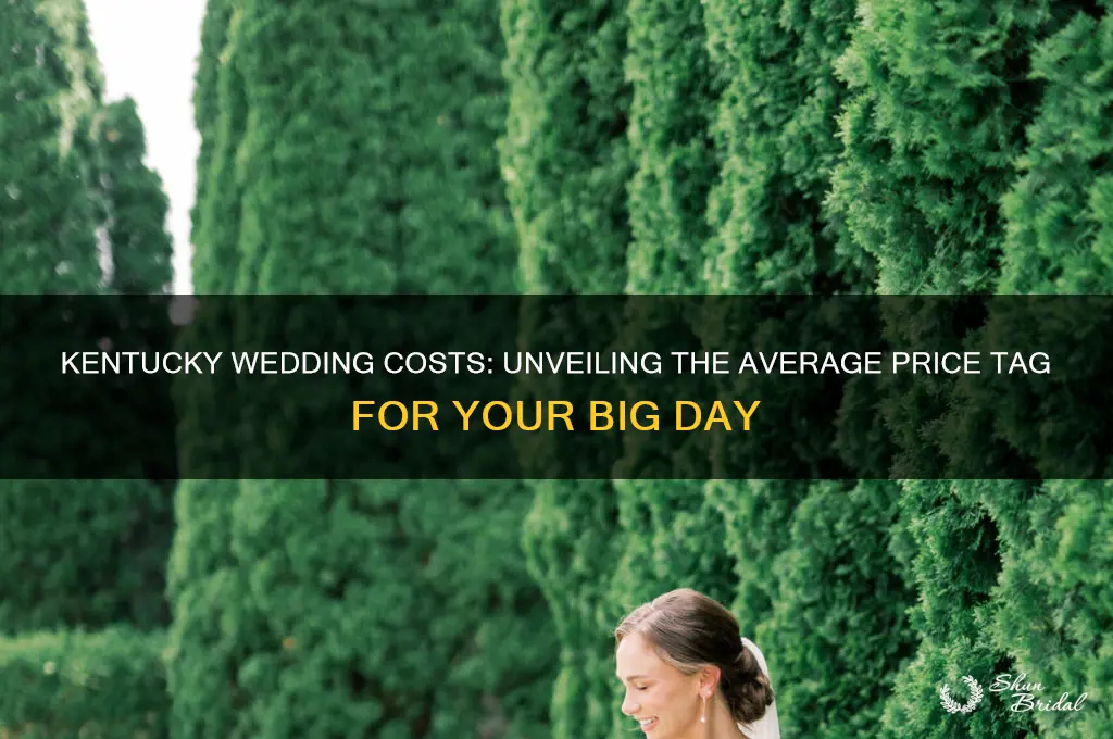 what does average wedding cost in kentucky