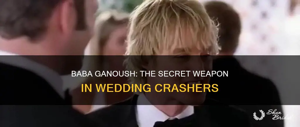 what does baba ganoush mean in wedding crashers