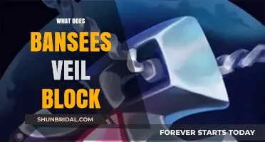 Banshee's Veil: Blocking Damage, Vision, and Enemy Abilities Explained