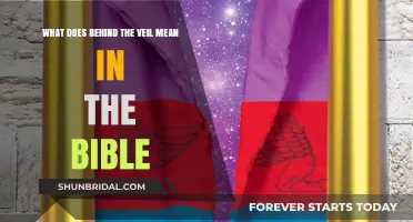 Behind the Veil: Unveiling Biblical Meanings and Spiritual Insights
