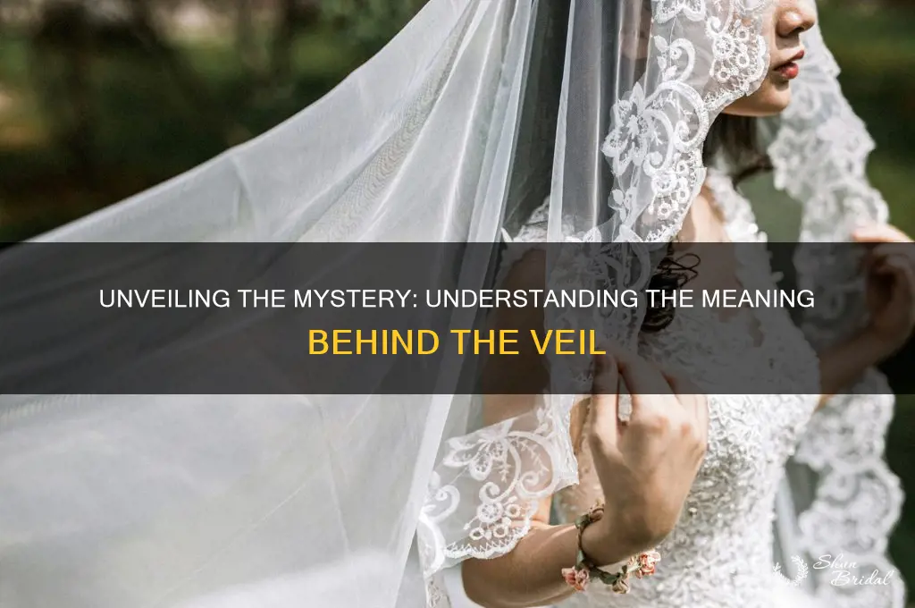 what does behind the veil mean