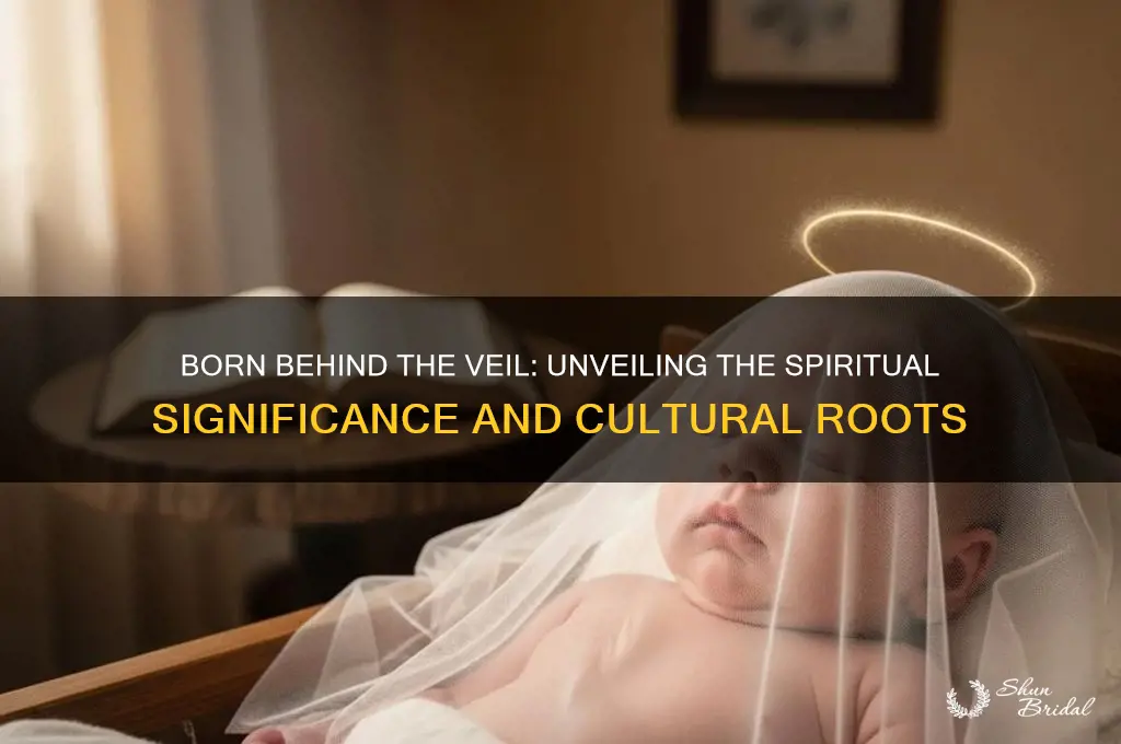 what does being born behind the veil mean
