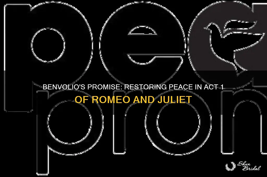 what does benevolio vow to do in act 1