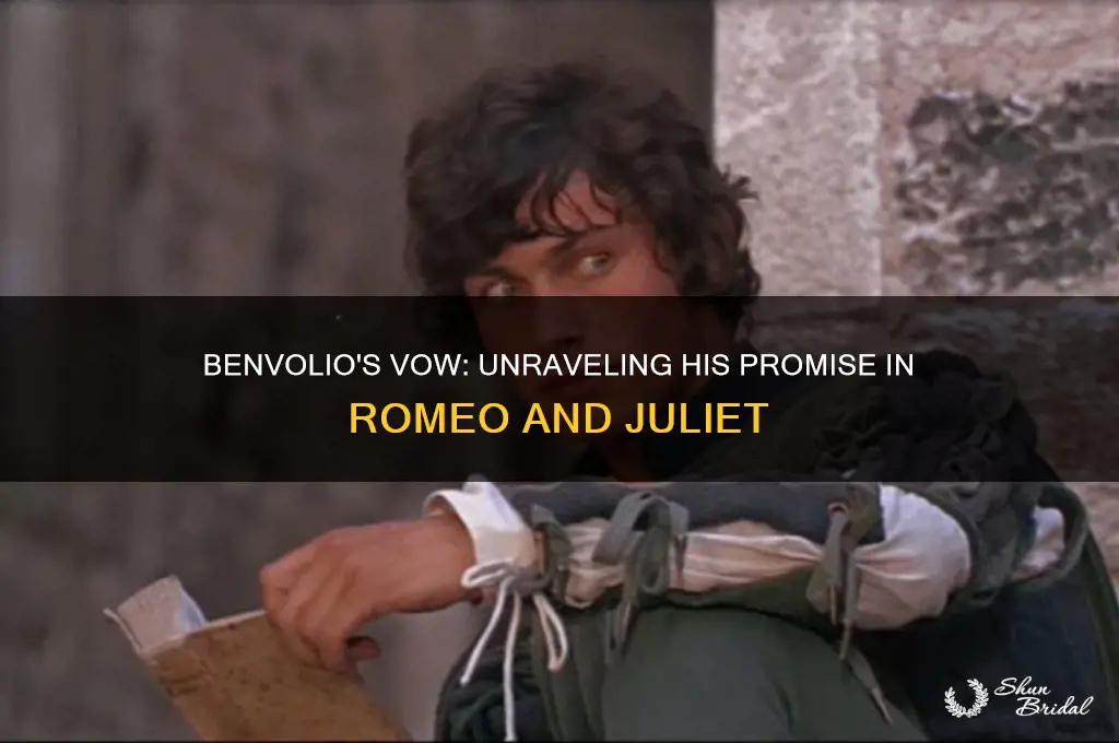 what does benvolio vow to do