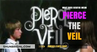 Besitos Meaning Explored: Pierce the Veil's Lyrics Decoded