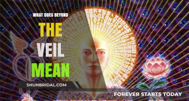 Unveiling the Mystery: Exploring the Meaning of 'Beyond the Veil
