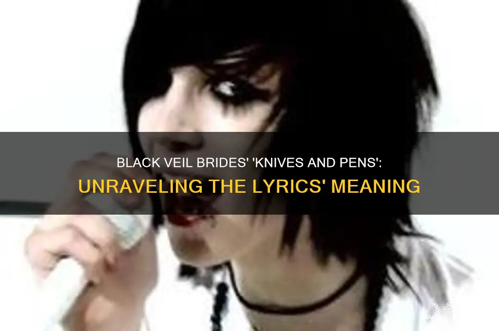 what does black veil brides knives and pens mean