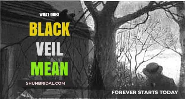Unveiling the Mystery: What Does the Black Veil Symbolize?