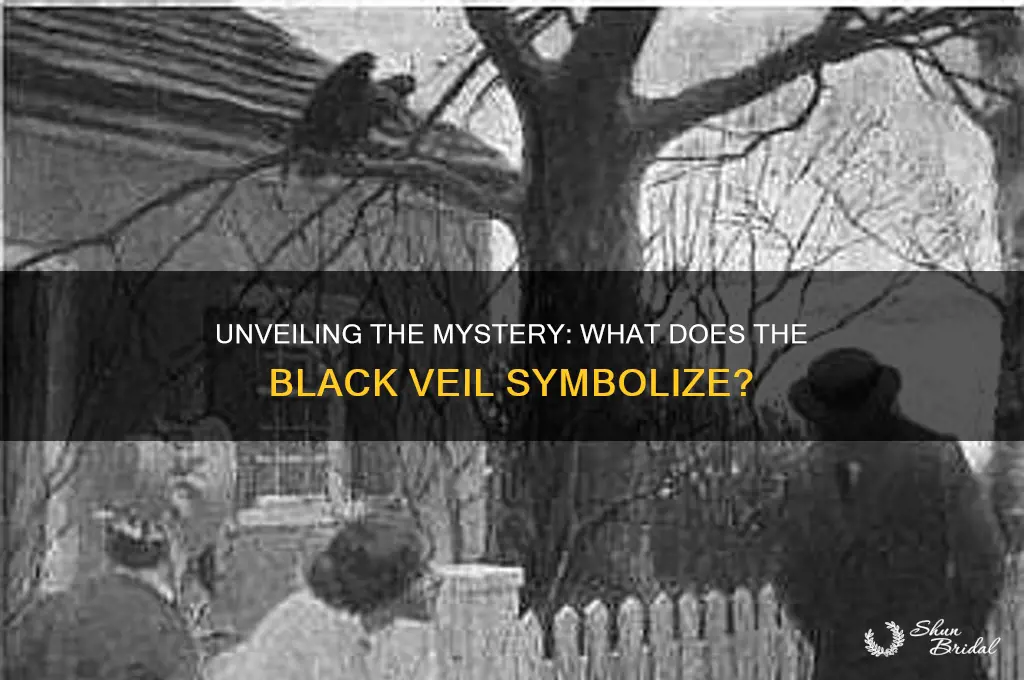 what does black veil mean