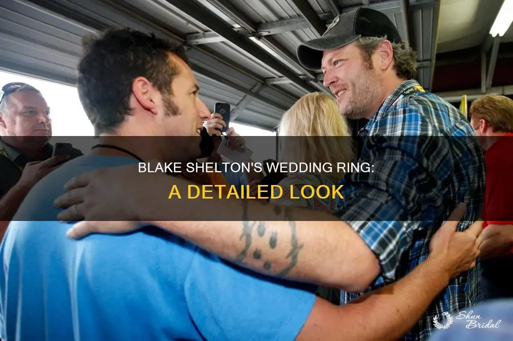 what does blake shelton