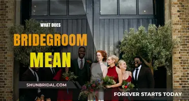 Understanding the Role of a Bridegroom: A Comprehensive Guide
