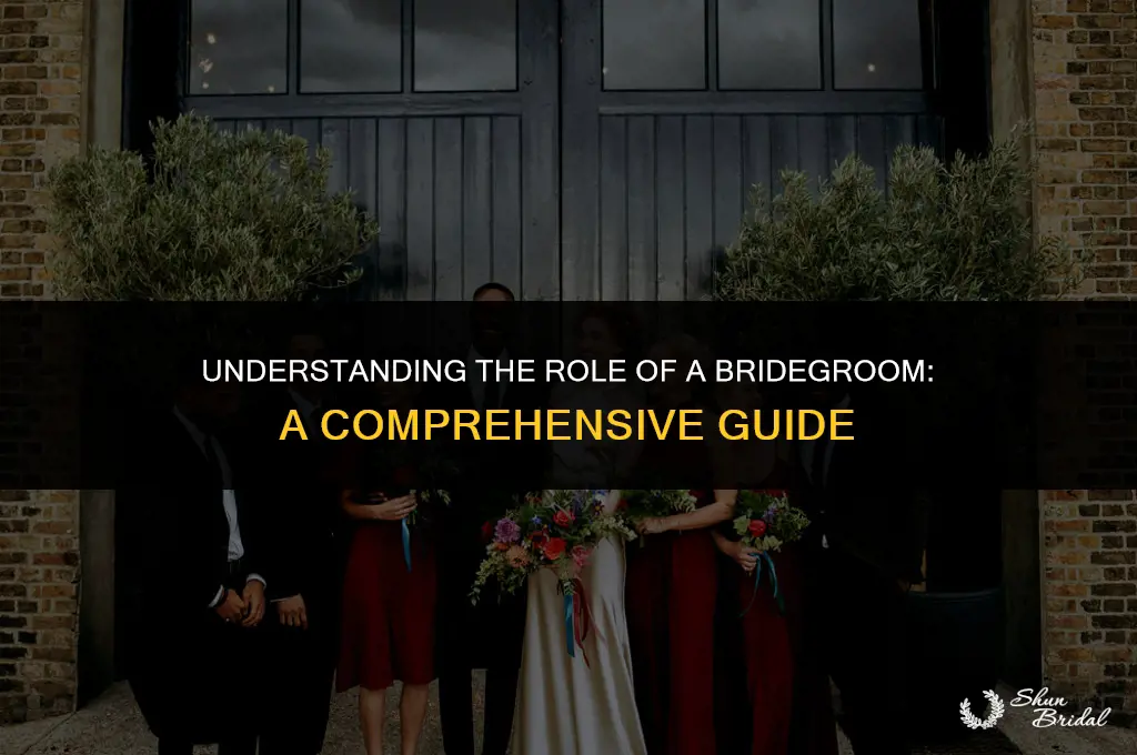 what does bridegroom mean