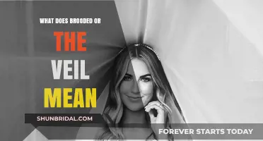 Understanding Brooded and the Veil: Meanings, Origins, and Interpretations
