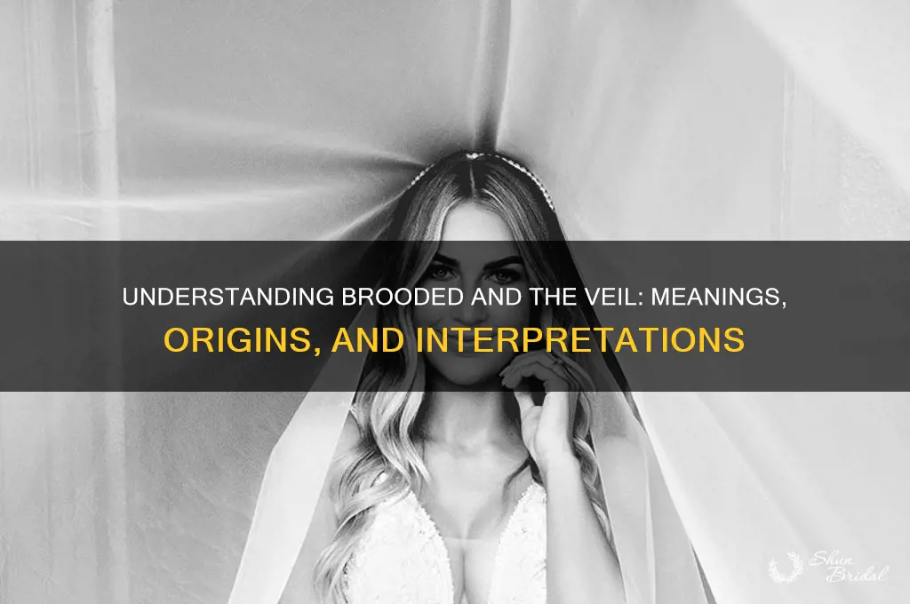 what does brooded or the veil mean