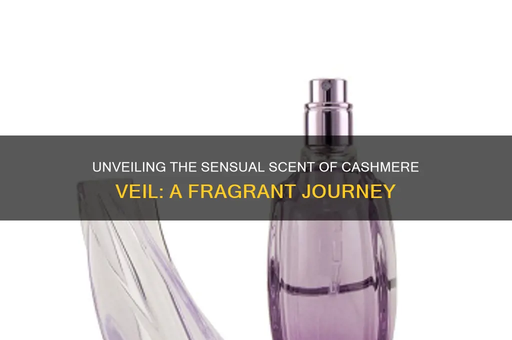what does cashmere veil smell like