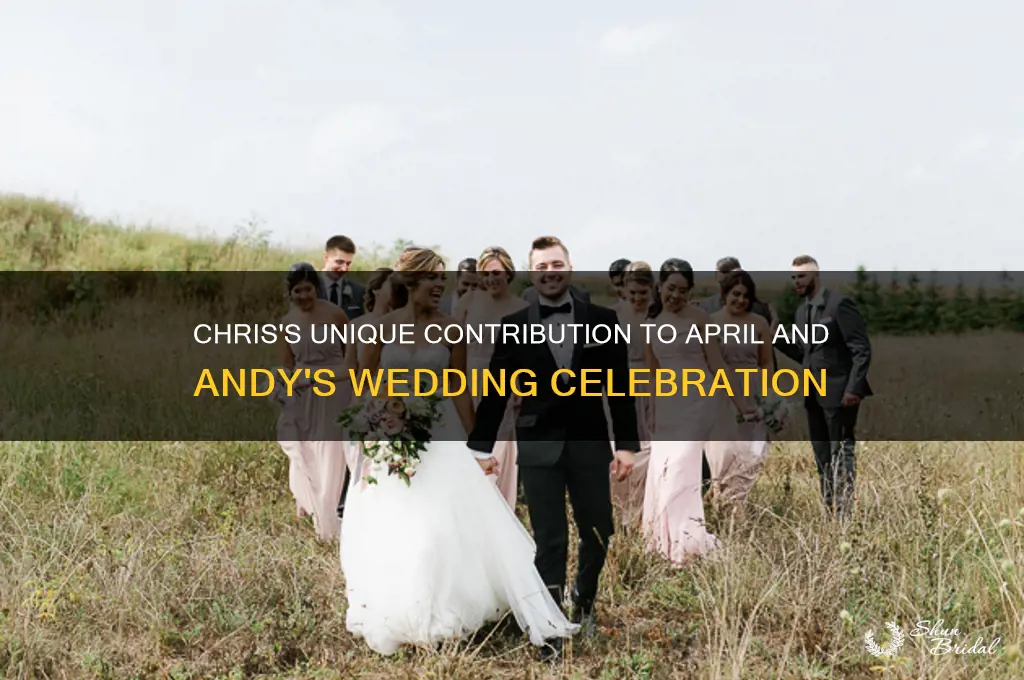 what does chris bring to april and andy