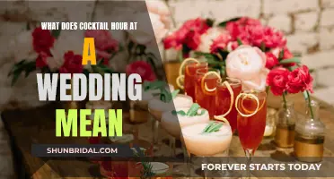 Cocktail Hour Conundrum: Unraveling the Mystery of Wedding Cocktail Hours