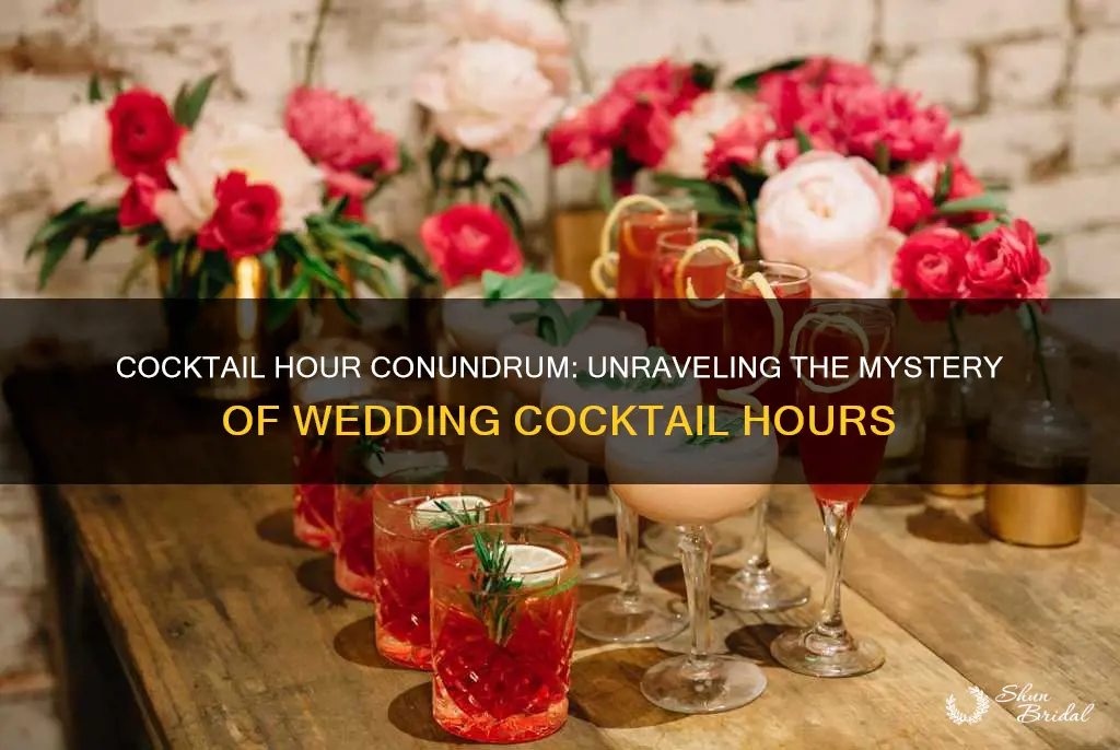 what does cocktail hour at a wedding mean