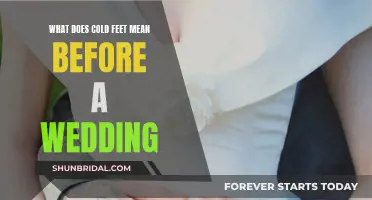 Cold Feet Before the Wedding: Normal Nerves or Red Flag?