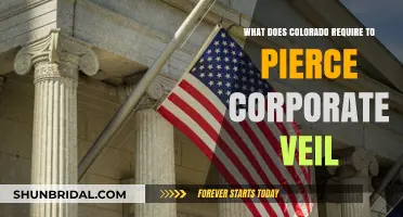 Piercing the Corporate Veil in Colorado: Legal Requirements Explained