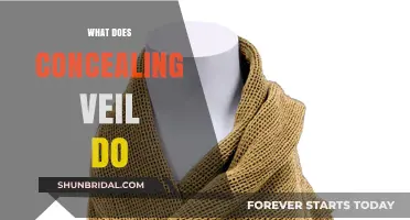 Unveiling the Mystery: What Does a Concealing Veil Truly Do?