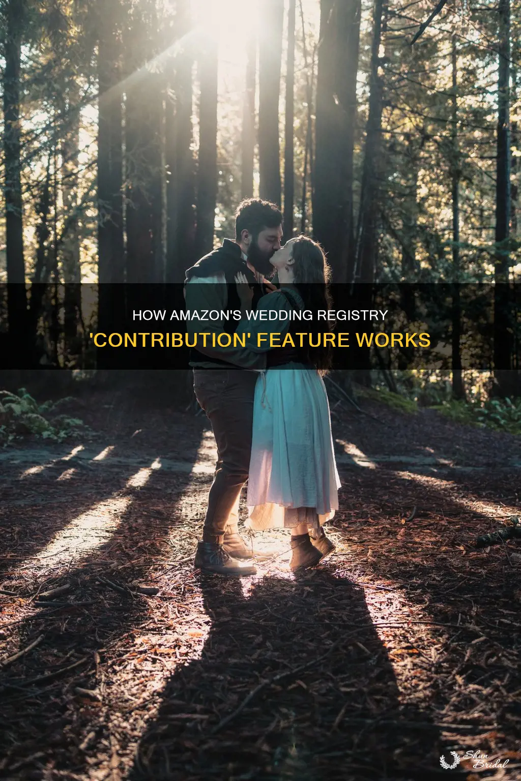 what does contribute mean on amazon wedding registry