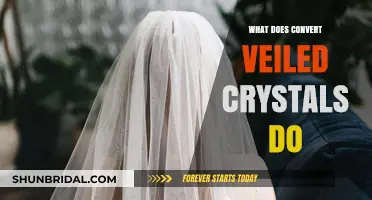 Unveiling the Power: What Does Convert Veiled Crystals Do?