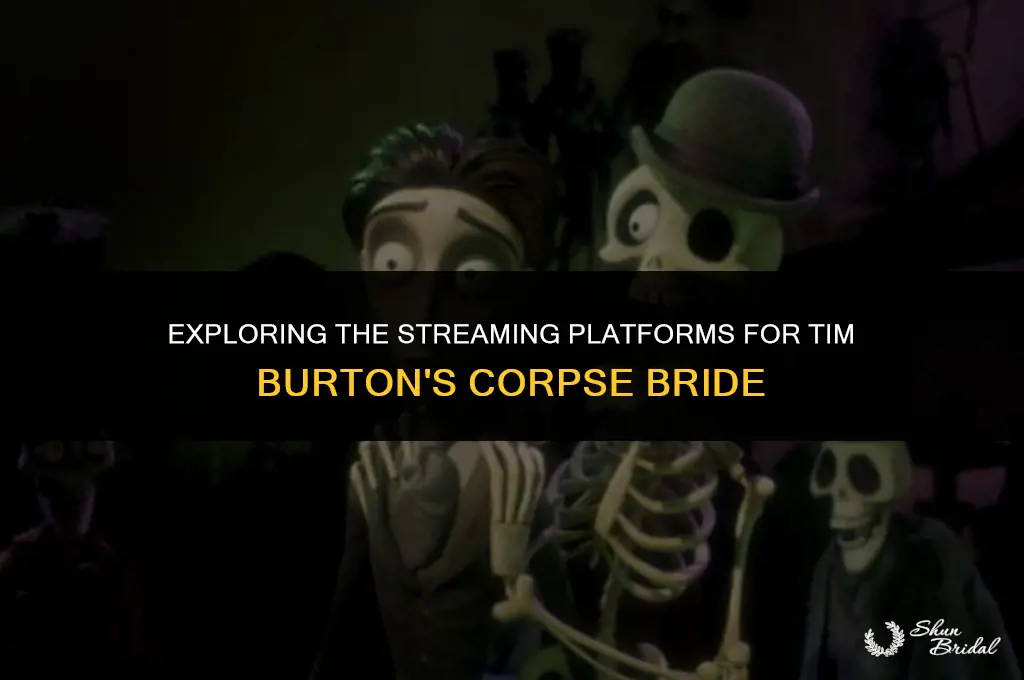 what does corpse bride stream on