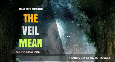 Crossing the Veil: Unveiling the Mystical Journey Beyond the Physical Realm