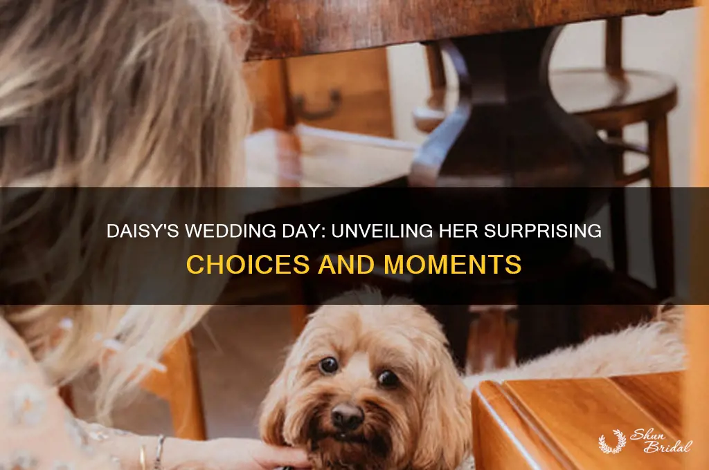 what does daisy do on her wedding day