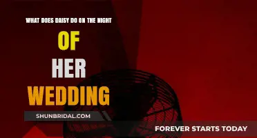 Daisy's Wedding Night: Secrets, Surprises, and Unforeseen Choices
