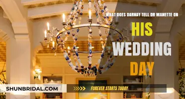 Darnay's Wedding Day Revelation to Dr. Manette: A Tale Unveiled