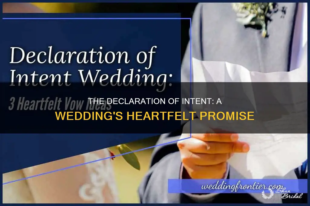 what does declaration of intent mean in a wedding