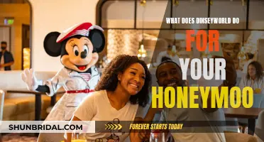 DinsseyWorld: Your Dream Honeymoon Destination